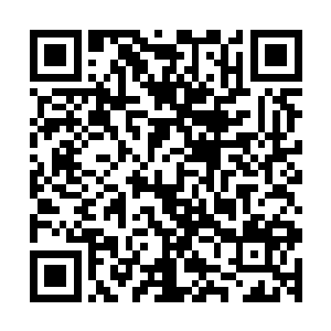 两条修长的双腿像是藤缠住树一样紧紧的纠缠着丁二狗的身躯二维码生成