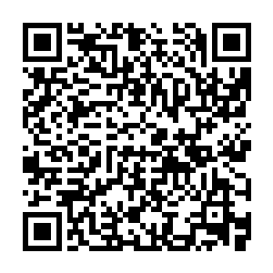 两根两厘米长的玉牙和橙色的眼瞳冷冷的注视着眼前这群弱不经风的木乃伊二维码生成