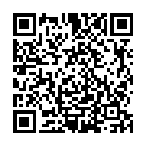 两根手指就将他镇压住……难不成眼前这位是个主宰强者二维码生成