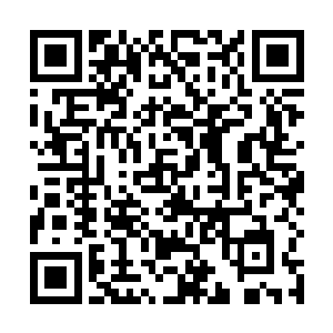 两百多年前墨族的巨大损失可不是这么简单就能恢复的二维码生成