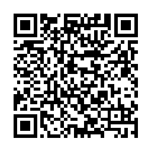 两者的终极一击终于是在众人的关注之中交锋在一起二维码生成