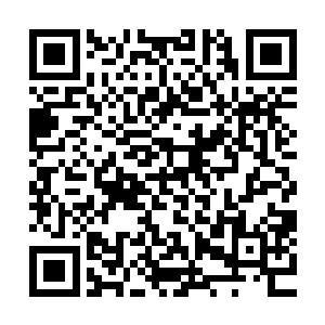 两股力量激烈碰撞产生的反震力量让王珂无法控制地倒退数步二维码生成