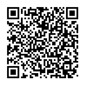 严承悦笑着过去变戏法似的从袖子里摸出一个木雕的不倒翁递给辰迅二维码生成