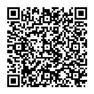 严默之前奇怪指南为什么会在他找出人鱼流产原因的时候给他一起统计前面减少的人渣值二维码生成