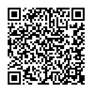 严默做出这样的推测是因为原战的表情可不像是只碰见了几只在地底生活的生物二维码生成