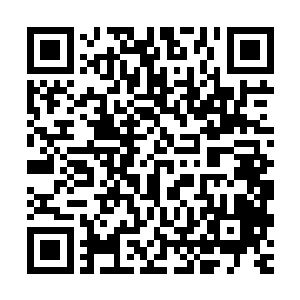 严默却在此时又从腰包里抽出一把连骨柄在内长约二尺的单锋刀二维码生成