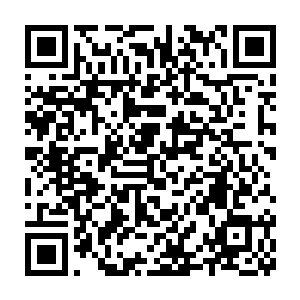 严默猜测门内应该也有一个类似骨器师协会的专门验证骨牌的骨器二维码生成