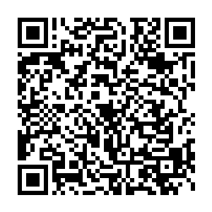 严默现在就跟作弊似的学会了借用他人能量转化为自己所用的本领二维码生成