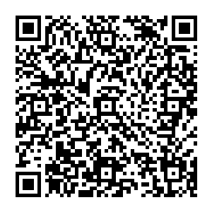 丧心病狂的作者已经开始对我进行各种猎奇的描述了……这家伙自从在一百多万字之前编造了阅读癖二维码生成