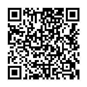 个化神期的实力已经是远远出了他们常人眼里的化神期实力了二维码生成