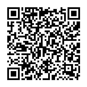 个头同样庞大的同伴闷不做声的把一根排球粗的木桩扶起来抱在怀里二维码生成