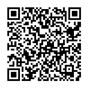 个头差不多有碗大的青白色的螃蟹正慢慢的在海底的一片砂石之中行走着二维码生成