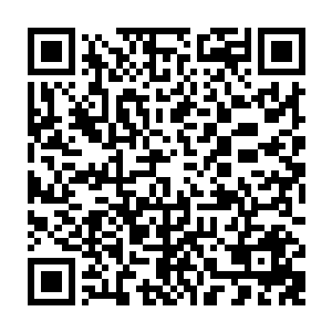 中医公会的前期投入根本就是个无底洞――仅仅买幢办公大楼就用了近十亿二维码生成