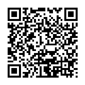 中医治疗骨折不用拍片不用开刀对于华夏人来说毫不稀奇二维码生成