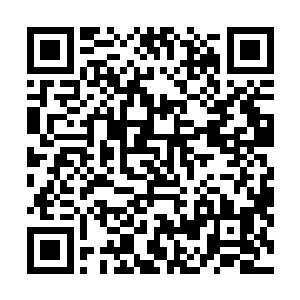 中医药学会秘书长刘震东博士和副会长明钰女士主持会议二维码生成