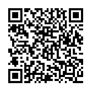 中午他在训练基地的健身房里进行训练基地给他制定的训练计划二维码生成