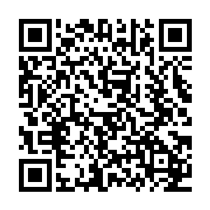 中原神机宗现任宗主可以说是被苍茫大陆上几大势力一起逼死的二维码生成