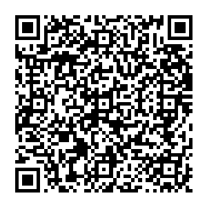 中国将从中提取白银一两作为专利费用……双反紧接着又对第二项议案展开了激烈的唇枪舌剑二维码生成