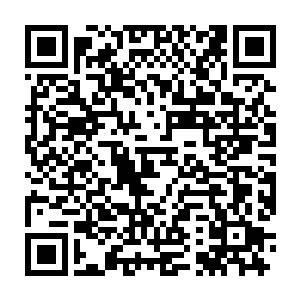 中国政府的金融政策和28年下半年出台的遏制经济过热的一系列政策二维码生成