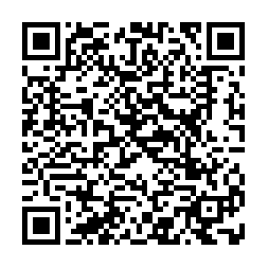 中央政研室和中联部的代表团却在出访中已经把事情都谈到了这个份儿上二维码生成