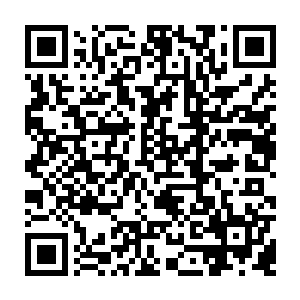 中央电视台中央电视台观众们晚上好您现在收看的是德甲联赛第三十二轮二维码生成