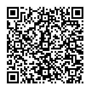 中山王为首的十余位陈家王爷再加上天海家以及陈观松培养出来的数位神将算是一派二维码生成