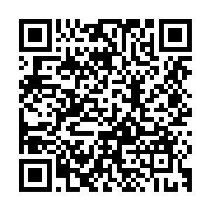 中村俊几乎在第一时间就确认了秦方手上拿着的不是一把玩具枪二维码生成