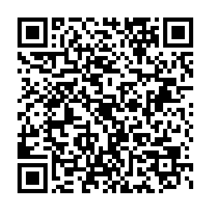 中气十足却颇为忧伤的声音从房间内一个器宇轩昂的中年人口中脱出二维码生成