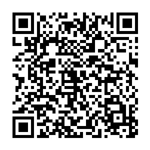 中苏两军用三百多万枚地雷把这段五十公里的地区变成了死亡禁区二维码生成