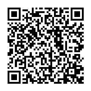 丰富的经验也许可以让你看到任何一种生物的骨骼都能对它进行正确的能量刻纹二维码生成