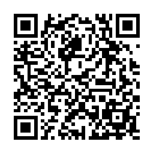 临桌武者稍稍讨论了一下那什么云星华和这惊鸿域的局势二维码生成