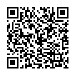 临江仙等人此刻无比深刻得感受到这两人跟他们之间得差距二维码生成