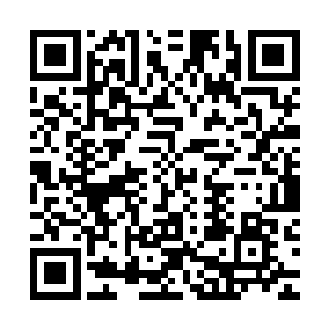 临淮侯没好气的指了指被朱平安摔碎的酒壶还有撒了一地的美酒二维码生成
