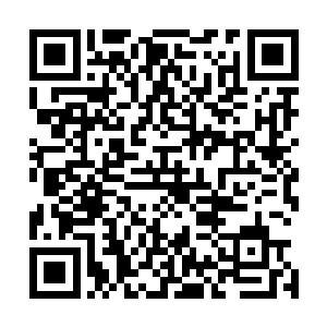 临走之前的时候龙家的众人的修为比他们原本的修为高一点二维码生成