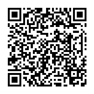 为了一个界面的平衡界面守卫者有着绝对的义务将这样的强大生灵给泯灭掉二维码生成