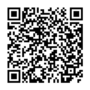 为了保护她们肯定会狼狈不堪与其给他添堵还不如自己实力强大了再帮他二维码生成