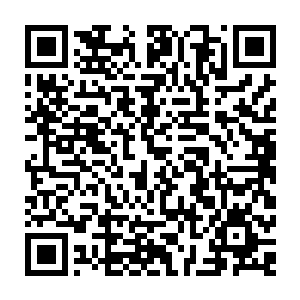 为了掩护我逃走用了禁忌魔法瞬间提高自己的实力代价是损失自己一半的修为二维码生成