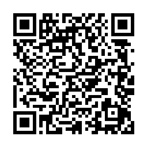 为了确保你和该死的维杰里不是在我们交往期间开始偷情的二维码生成