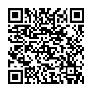 为了避免在检查的过程中我不小心触碰到什么引发满发二维码生成