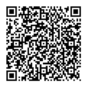 为什么……为什么你们就不肯给我一个机会……我都情愿终生为仆了……我只是想要个机会啊……我不服……不服二维码生成