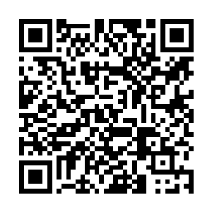 为什么……为什么太极真火轮……不听从我的召唤……二维码生成