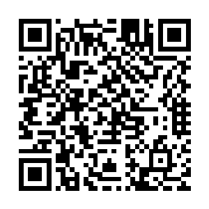 为什么不去任何一个其它的会所为什么偏偏就是这个见鬼的蓝山二维码生成