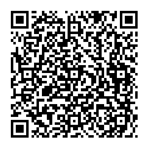 为什么不好 吾僵尸一族 与天斗 与地斗 与世皆敌 厮杀与否又有何关系 天道不容 难道还不允许反抗吗 二维码生成