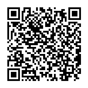 为什么不好好地和他在一起……为什么那么轻易相信池早早的话……二维码生成