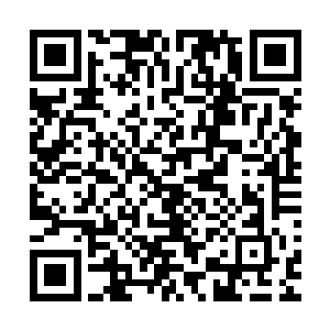 为什么之前跟他说话一直那么从容淡定的川口会有专业的一面二维码生成