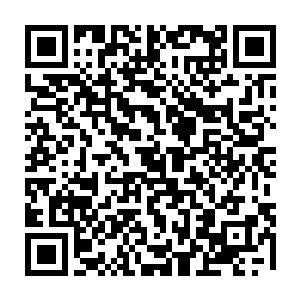 为什么他派人放在田晃劳子车上的定位跟踪器会跑到卢克斯里家族的车上去二维码生成