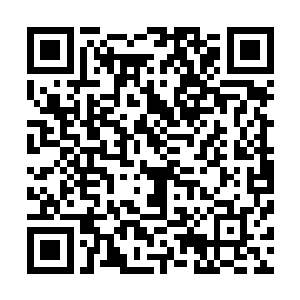 为什么他的宝贝们没有用毒液把眼前这个人的血肉给融化掉二维码生成