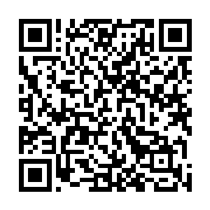 为什么会出现这个牌子里为什么一切会变成现在这个样子二维码生成