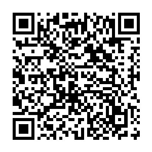 为什么传说中已经灭绝了多年的生命树居然会忽然出现在他的眼前二维码生成