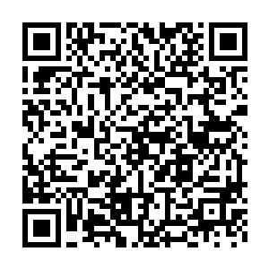为什么几乎所有的工匠都会蛋疼无比的留下一条通往真正金棺的路呢二维码生成